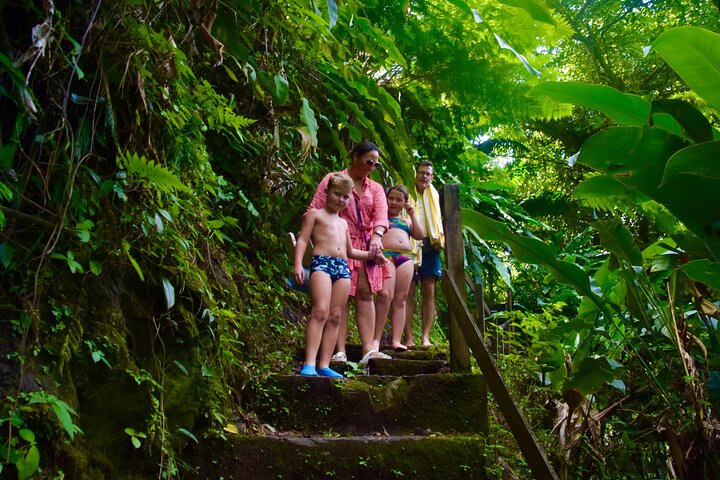 Dark View falls , Wallilabou , Fort Charlotte, Kingstown from IV Tours