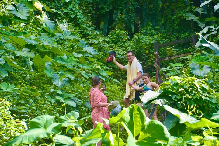 Dark View falls , Wallilabou , Fort Charlotte, Kingstown from IV Tours