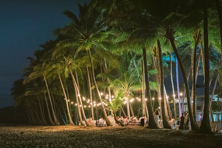 Private Transfer - Cairns Airport to/from Palm Cove