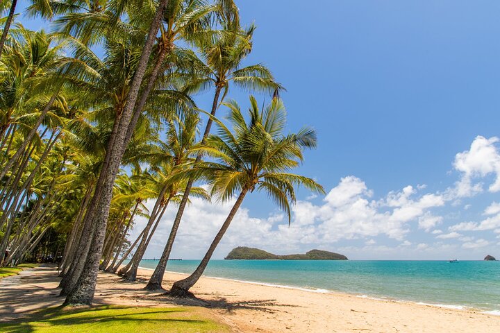 Private Transfer - Cairns Airport to/from Palm Cove