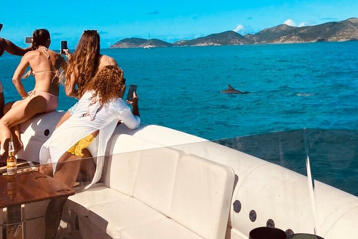 BVI Apotheoseas boat charter 38ft, Full Day / Half day trips