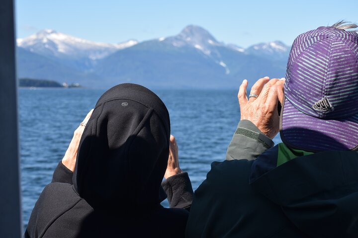 3.5 Hour Crowd-Skipping Whale Tour in Juneau, Alaska