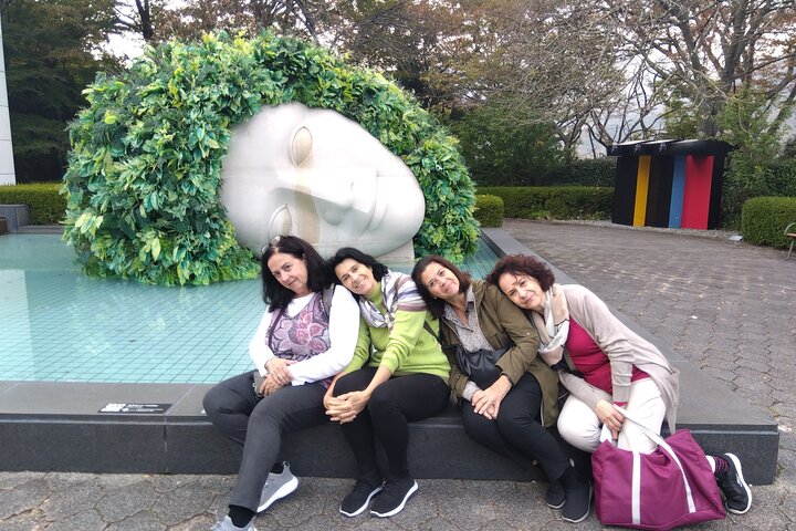 Hakone Customized Private Tour in 1 Day with Licensed Guide
