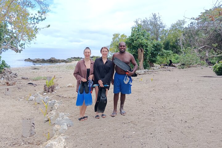 Turtle Encounter with Yumi Tours