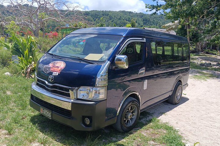 Turtle Encounter with Yumi Tours