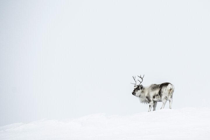 Svalbard Discover the Mining Settlement of Pyramiden