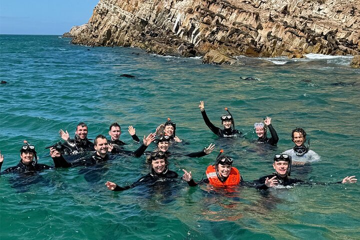 Swim with the Seals in Plettenberg Bay