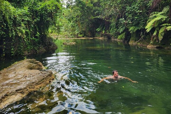 Discover Cascades & Turtle Experience with Yumi Tours