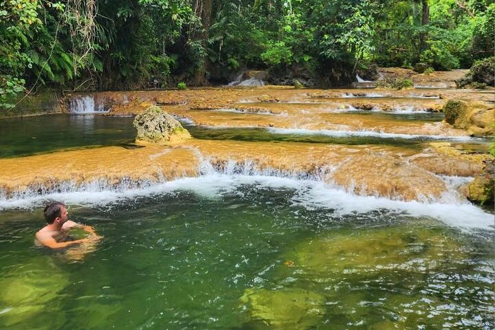 Discover Cascades & Turtle Experience with Yumi Tours