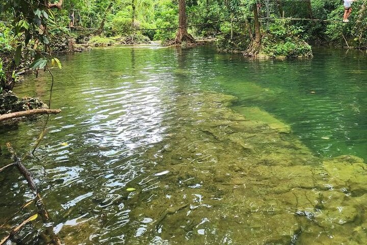 Discover Cascades & Turtle Experience with Yumi Tours