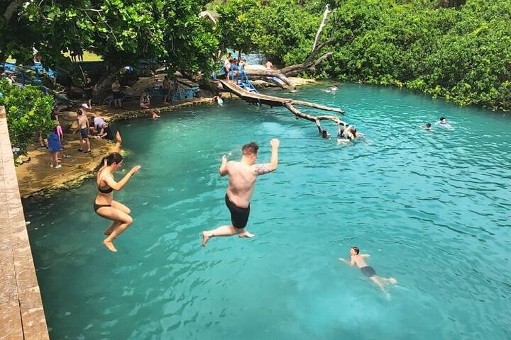 Discover Cascades & Turtle Experience with Yumi Tours
