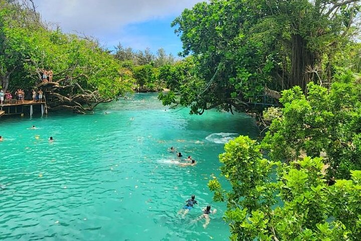 Discover Cascades & Turtle Experience with Yumi Tours