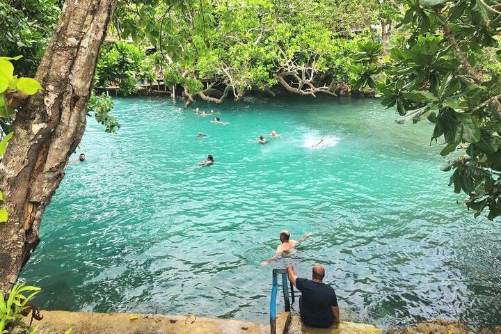Discover Cascades & Turtle Experience with Yumi Tours
