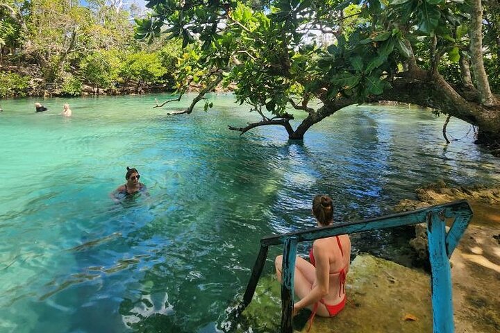 Discover Cascades & Turtle Experience with Yumi Tours