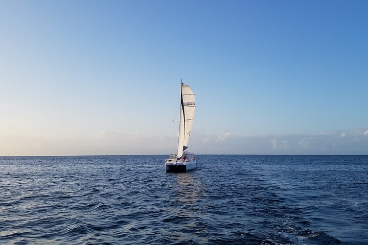 Catamaran Sailing Cruise in Monterey