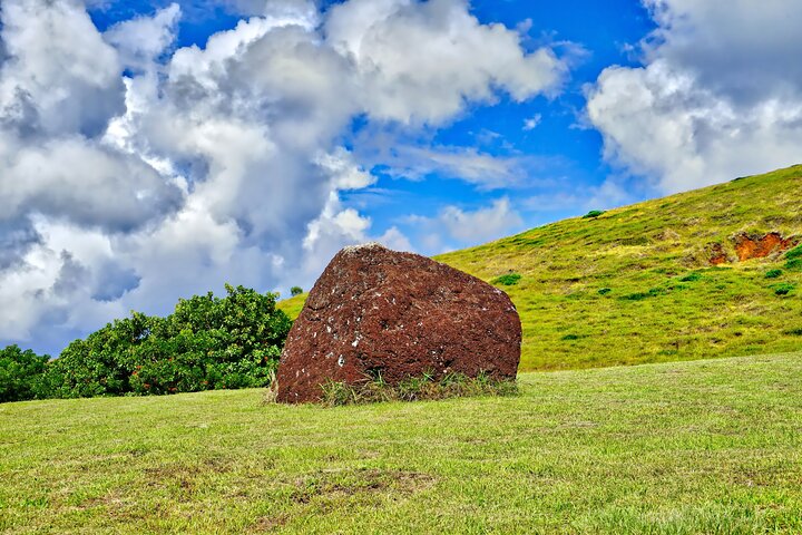 2 Days Highlights Tour in Easter Island Moai and Nature