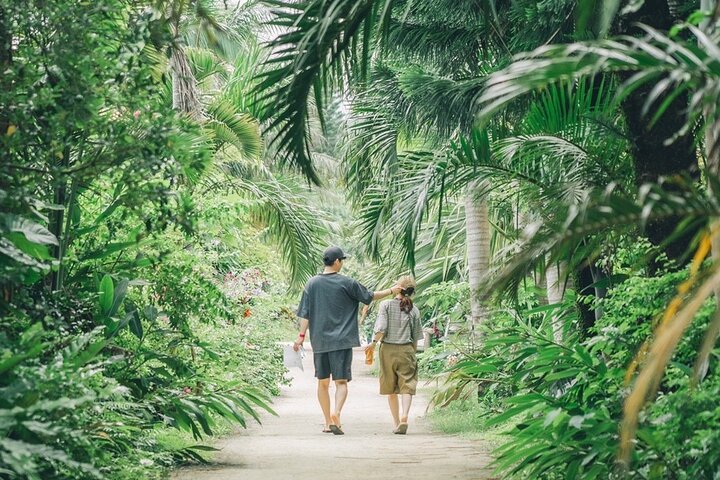 Iriomote 1 Day Mangrove SUP/Canoe, Barasu Island & Yubu Island