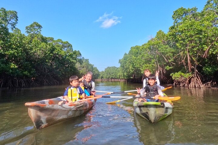 Iriomote 1 Day Mangrove SUP/Canoe, Barasu Island & Yubu Island