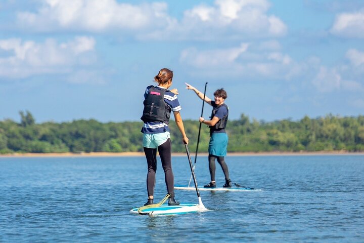 Iriomote 1 Day Mangrove SUP/Canoe, Barasu Island & Yubu Island