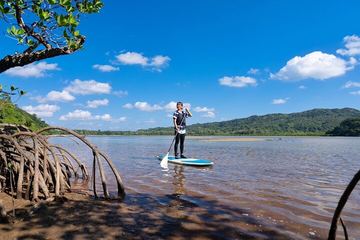 Iriomote 1 Day Mangrove SUP/Canoe, Barasu Island & Yubu Island
