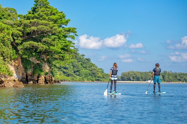 Iriomote 1 Day Mangrove SUP/Canoe, Barasu Island & Yubu Island