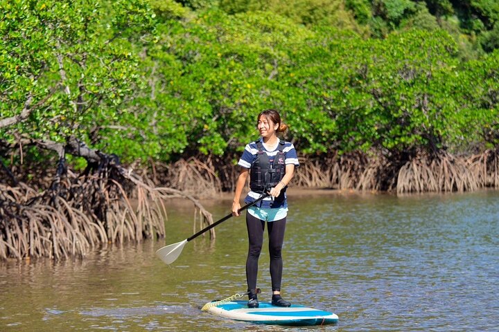 Iriomote 1 Day Mangrove SUP/Canoe, Barasu Island & Yubu Island