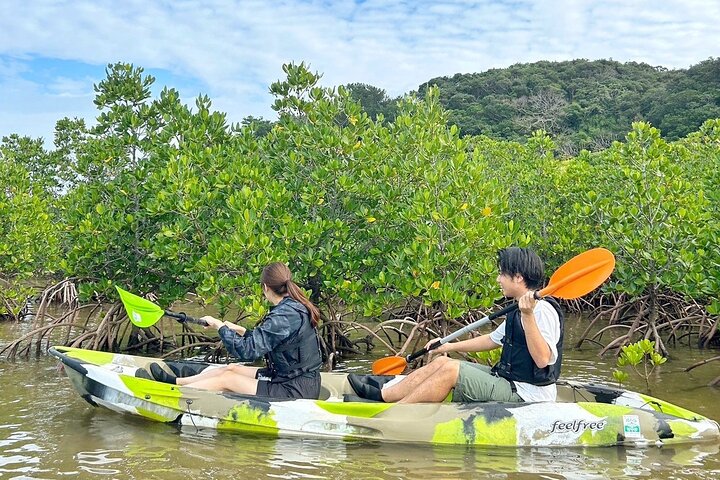 Iriomote 1 Day Mangrove SUP/Canoe, Barasu Island & Yubu Island