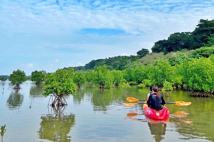 Iriomote 1 Day Mangrove SUP/Canoe, Barasu Island & Yubu Island