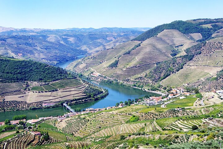 Driver with Private Vehicle in the Douro Valley