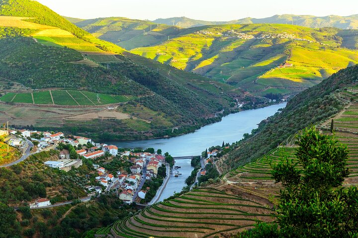 Driver with Private Vehicle in the Douro Valley