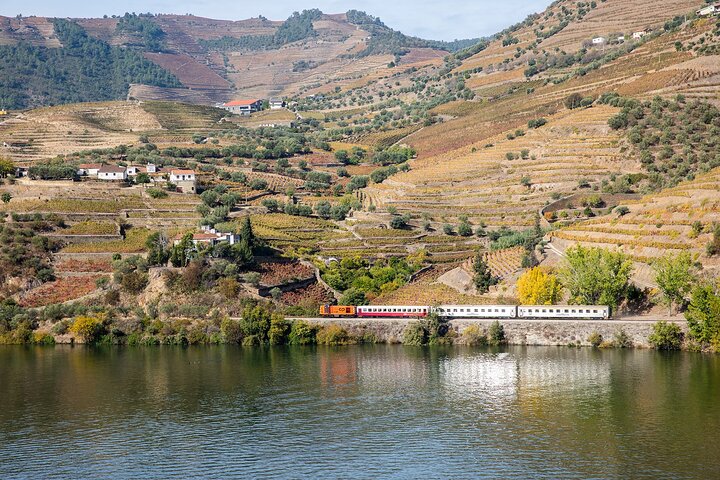 Driver with Private Vehicle in the Douro Valley