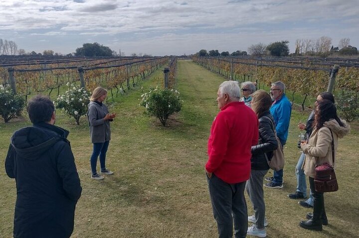 Wine Tour Privado a Colonia Caroya, Córdoba - Argentina