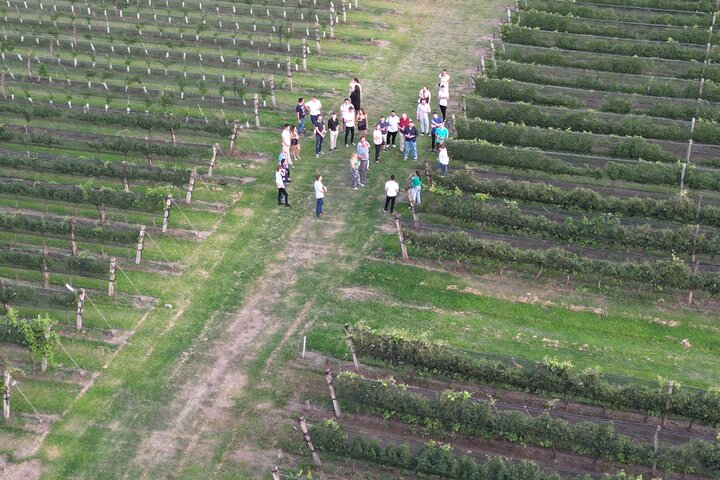 Wine Tour Privado a Colonia Caroya, Córdoba - Argentina