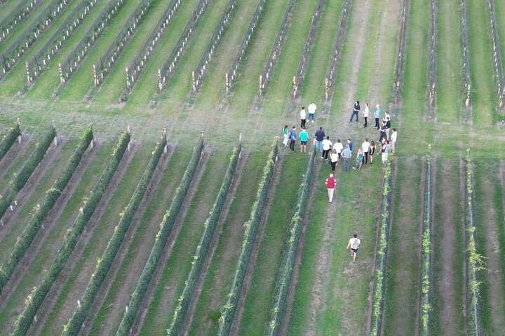 Wine Tour Privado a Colonia Caroya, Córdoba - Argentina