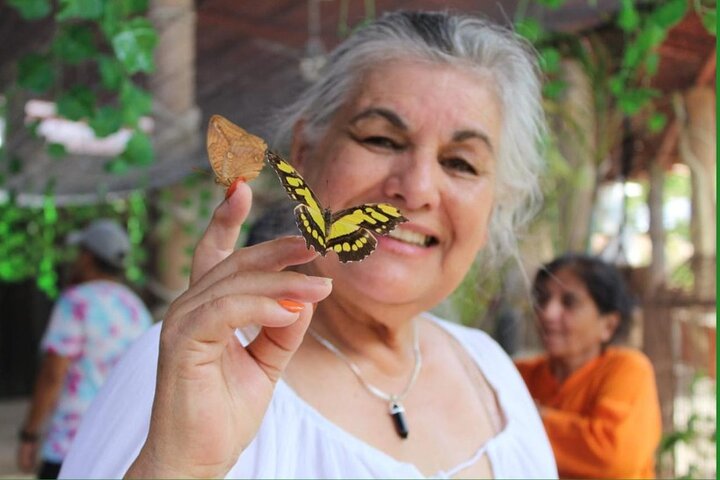 City tour express, Butterfly, tequila, river and beach (free kids)