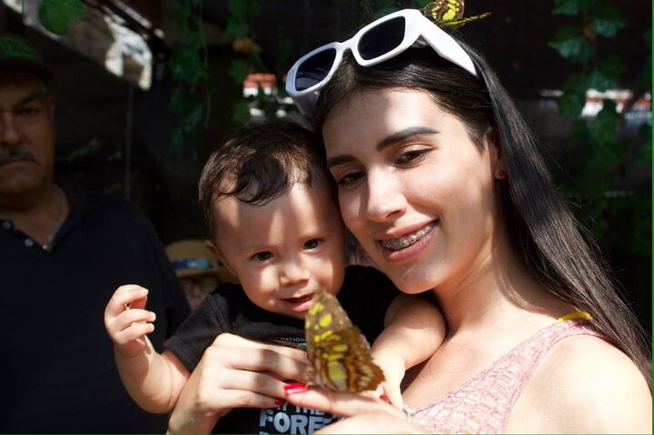 City tour express, Butterfly, tequila, river and beach (free kids)