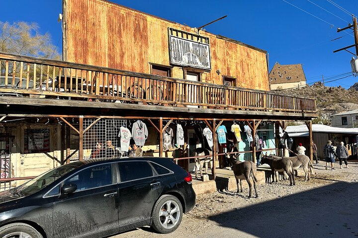 Oatman Mining Camp & Burros: Historic Route 66 Tour from Laughlin