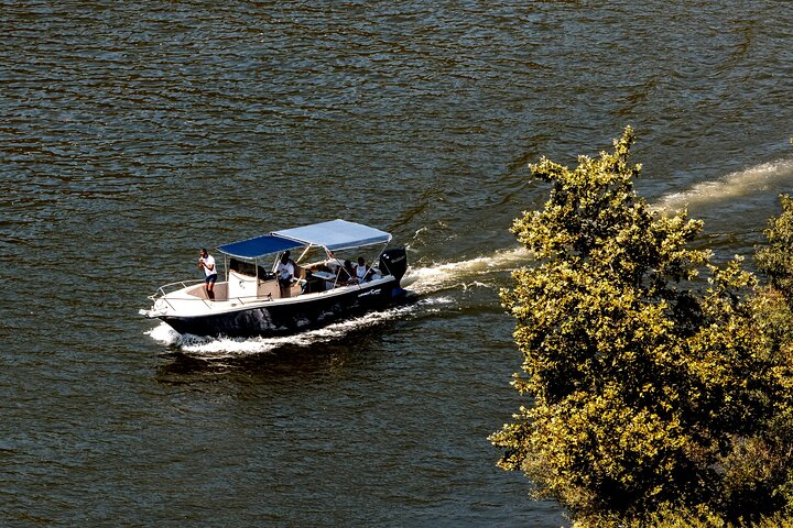 Pinhão: Douro River Cruise with Lunch Included