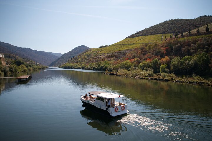 Douro River Cruise - Private River Cruise - Pinhão 1 Hour