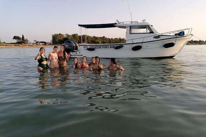 Boat tour, boat party, Dolphin watching, Fishing.