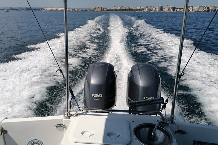 Boat tour, boat party, Dolphin watching, Fishing.