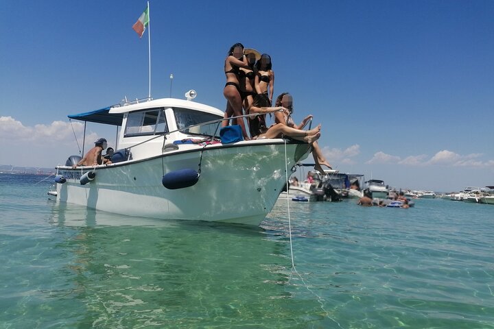 Boat tour, boat party, Dolphin watching, Fishing.
