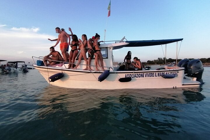 Boat tour, boat party, Dolphin watching, Fishing.