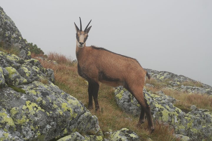 Private Hiking Tour Visit to Slovakia with Licensed Guide