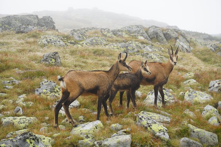 Private Hiking Tour Visit to Slovakia with Licensed Guide