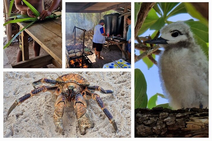Blue Lagoon - PRIVATE ISLAND Pink sand beach and wildlife reserve