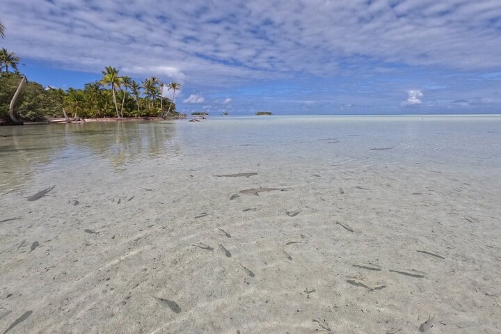 Blue Lagoon - PRIVATE ISLAND Pink sand beach and wildlife reserve