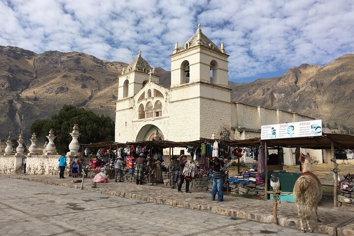 Colca Canyon 2 days from Arequipa with final transfer to Puno