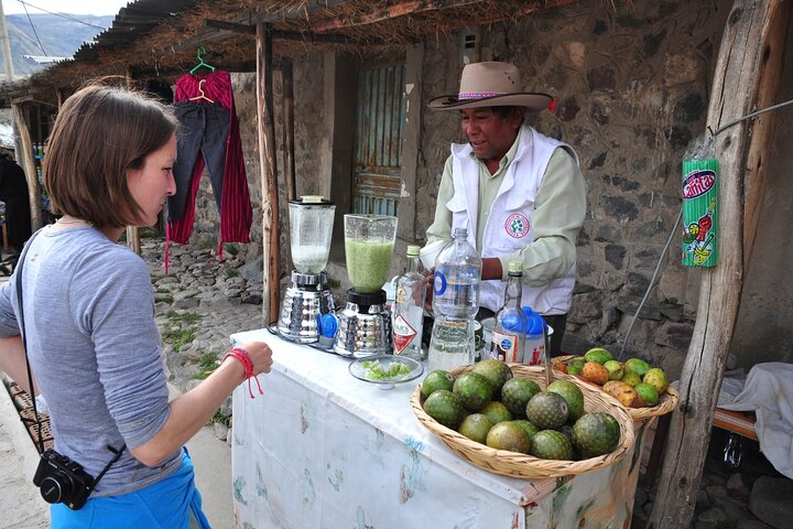 Colca Canyon 2 days from Arequipa with final transfer to Puno
