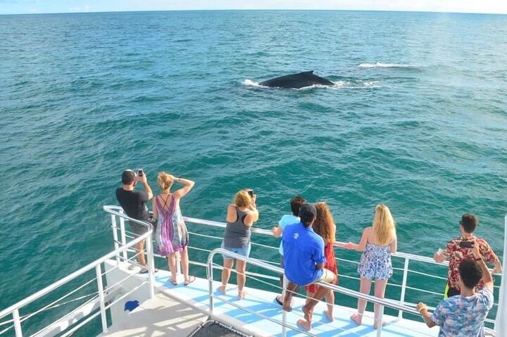 Flamingo, Guanacaste All Inclusive Catamaran Snorkel Adventure